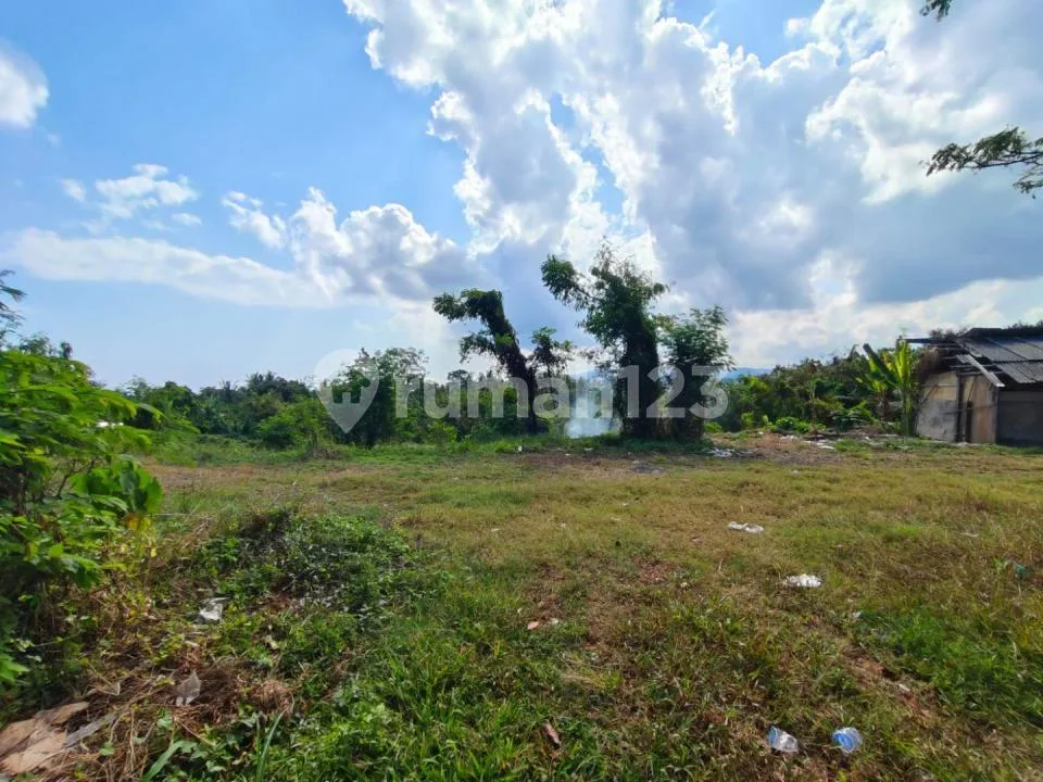 Rare Commercial Land On The Main Denpasar-Gilimanuk, Tabanan Bali - Image 2 of 4