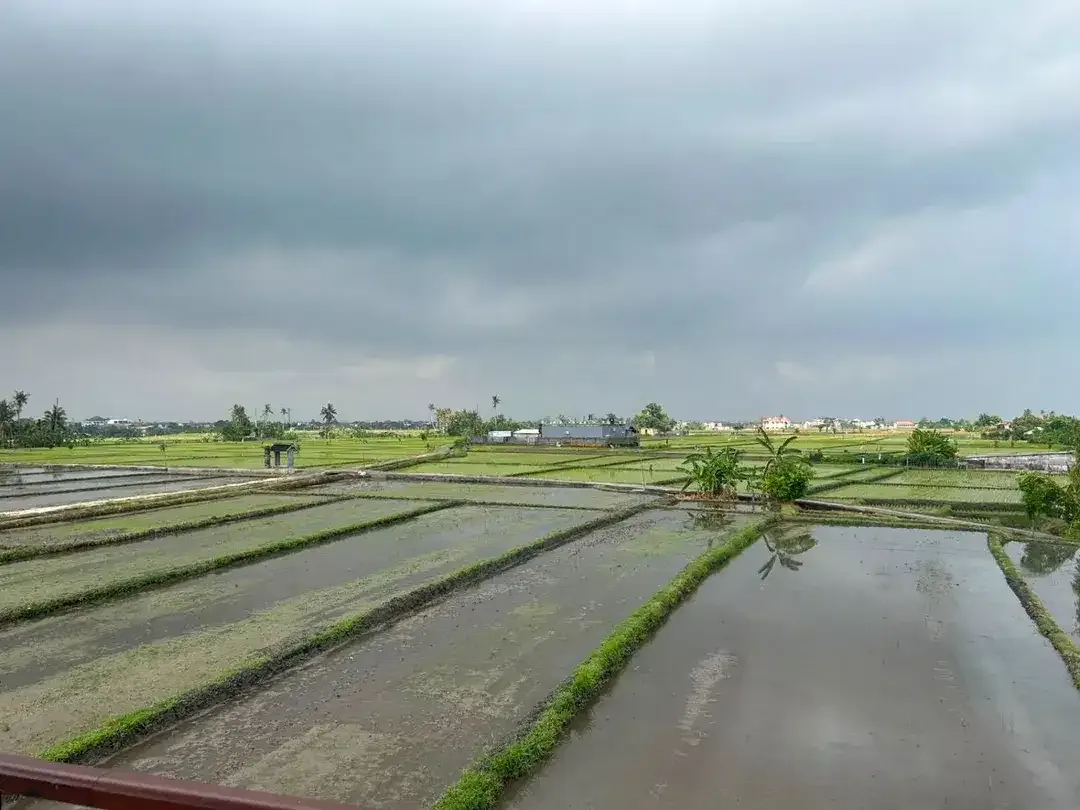 Bangunan Baru Villa 2 Lantai dengan View Rice Field - Image 2 of 9