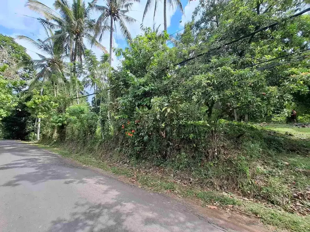 tanah kebun luasan kecil los sungai zona kuning atau zona pemukiman penduduk sudah daerah wisata di tabanan - Image 9 of 9