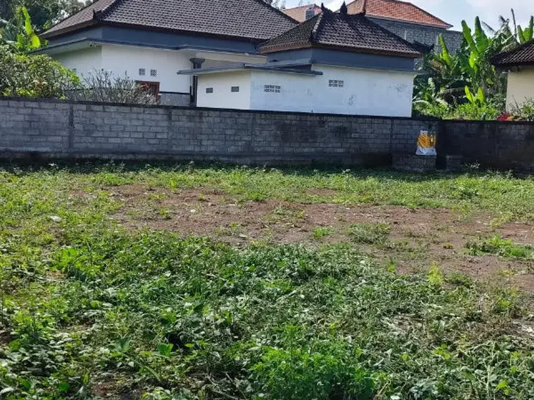 TANAH 10 ARE DI PANDAK GEDE TABANAN DEKAT NUANU - Image 2 of 8