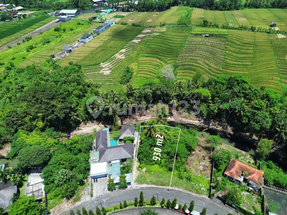 Freehold Land Green Lot - Munggu Bali 930M2 - Image 3 of 4