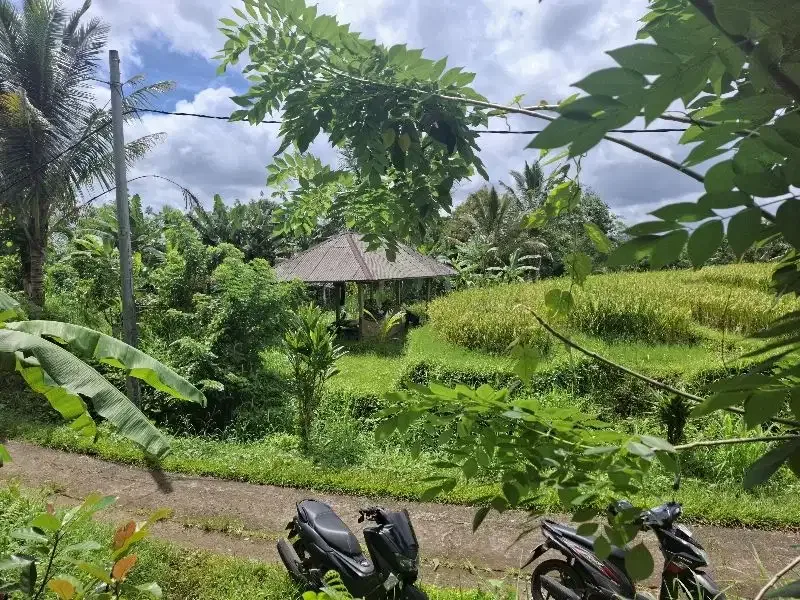 Dijual tanah murah dengan view sawah di tabanan bali - Image 1 of 7