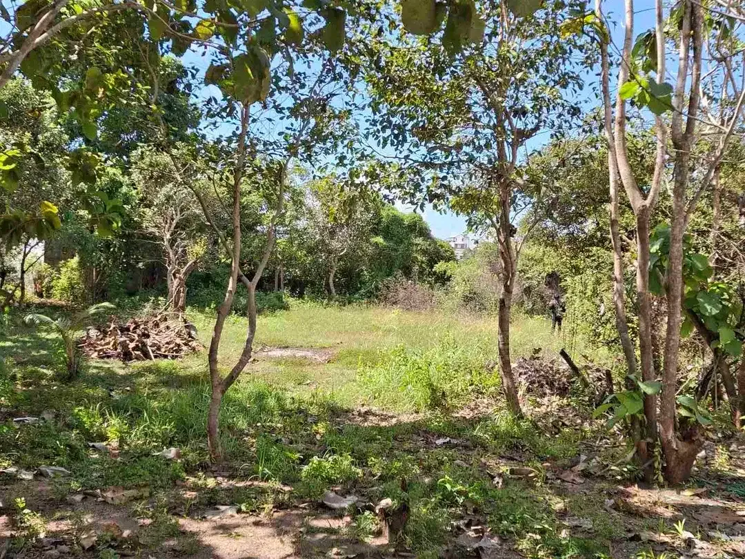 Cari Tanah di Bali? Pilih yang Murmer di Kutuh, Area Favorit Expat! - Image 1 of 6