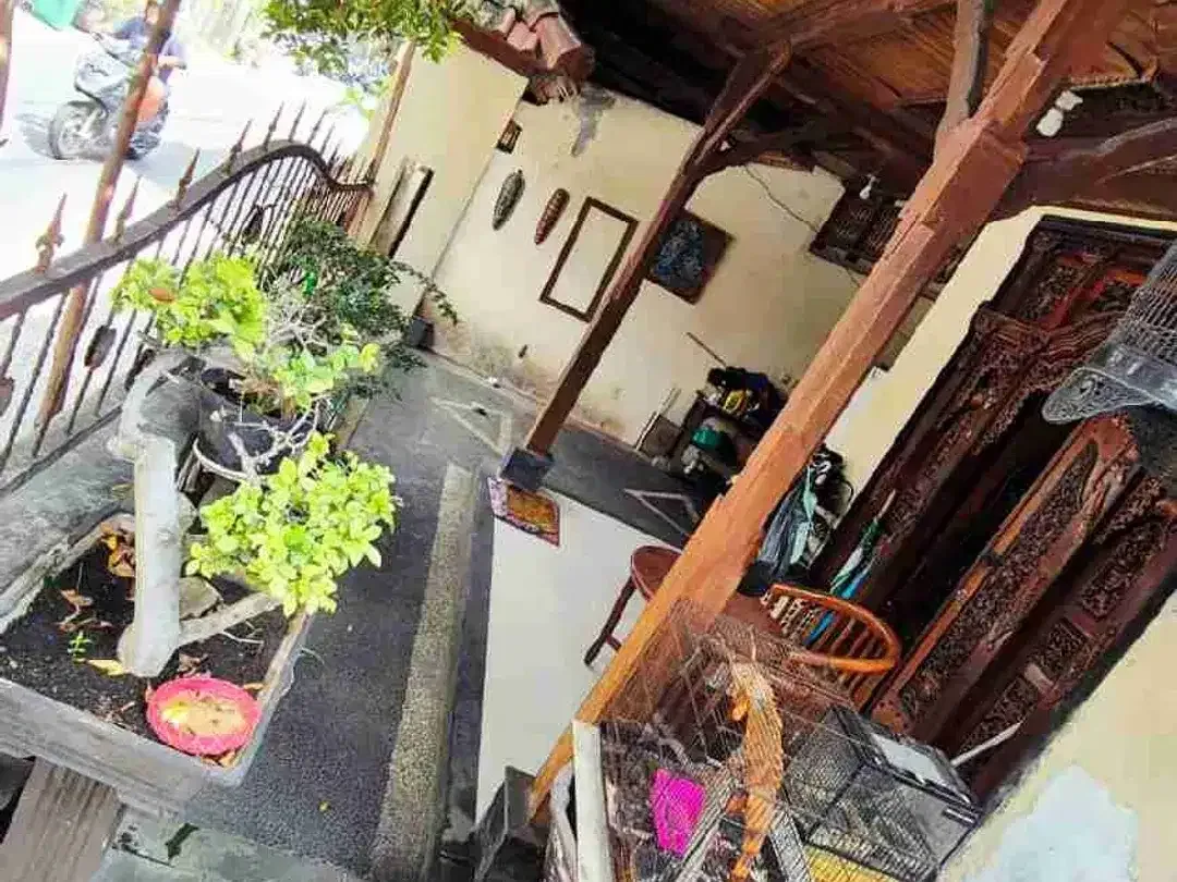 Dijual cepat rumah lokasi dalung GTT dekat Canggu - Image 6 of 10