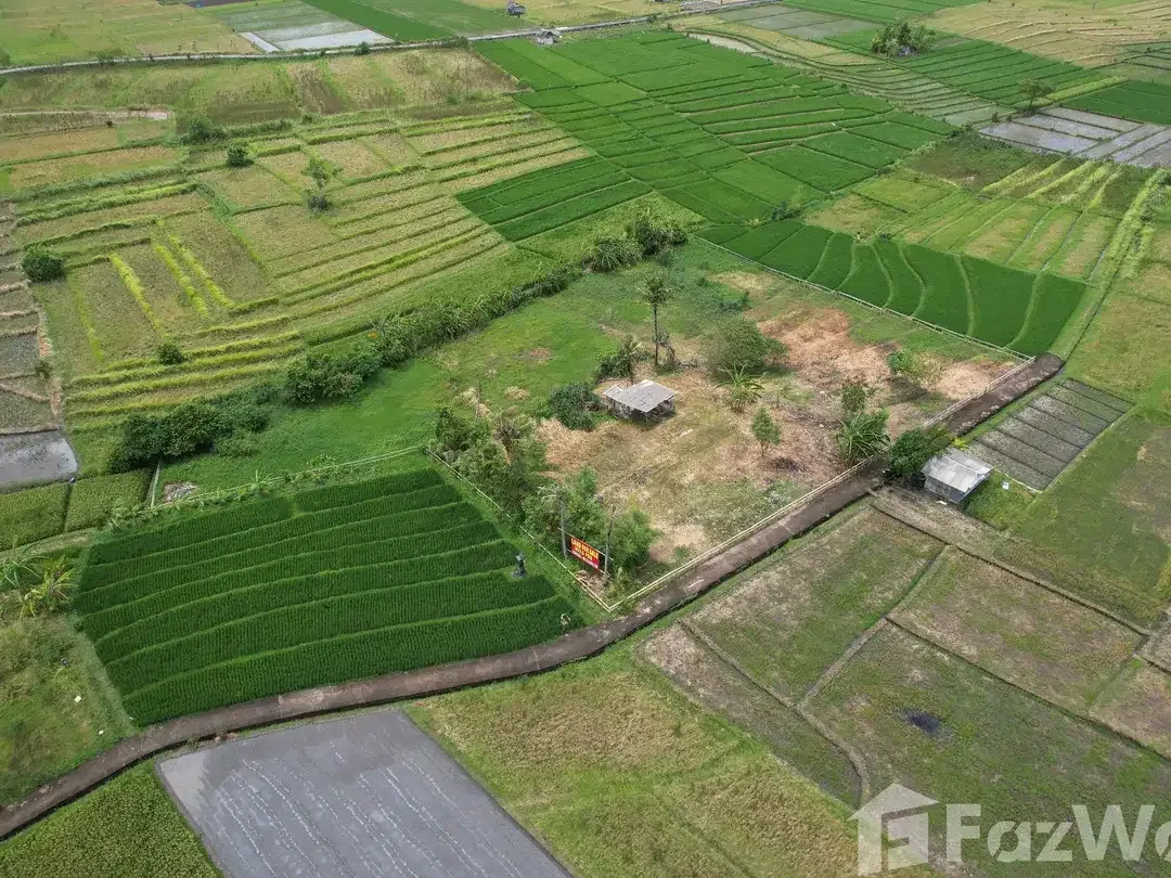 Land for sale in Kediri, Bali - Image 2 of 6