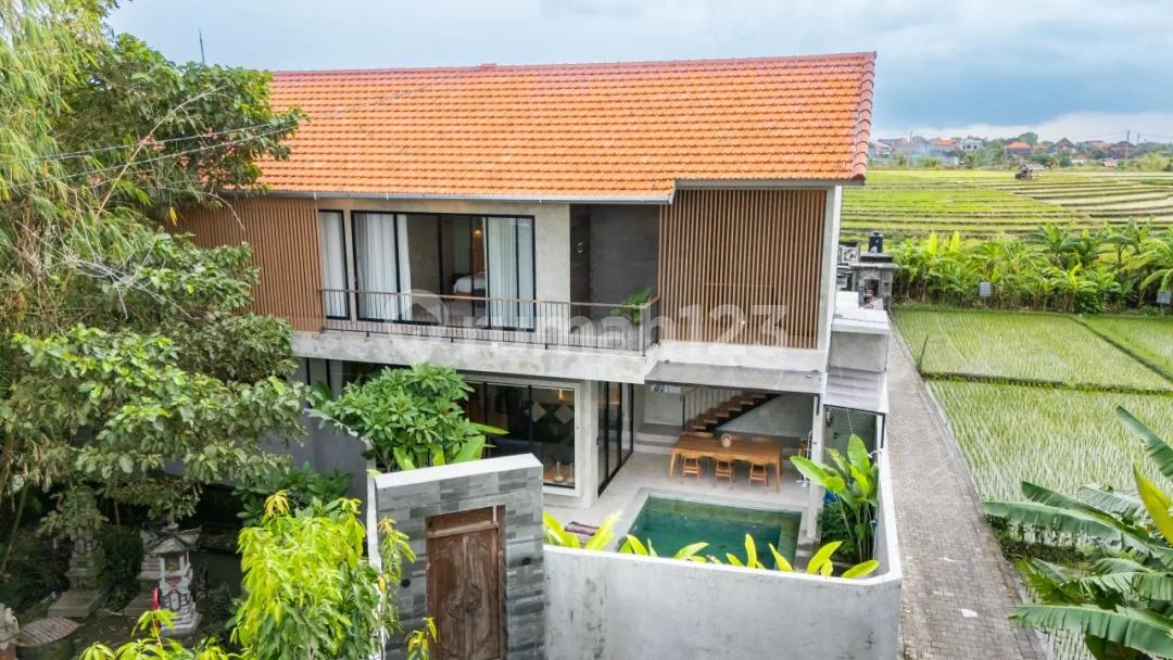 Villa Baru 3 KT Dikawasan Populer Padonan Canggu Bali - Image 3 of 4