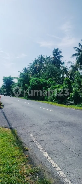 86 Are SHM Beachfront Pinggir Jln Utama Singaraja Kubutambahan - Image 4 of 4