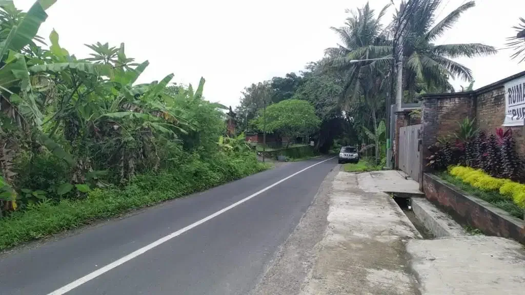Tanah 690m2 View Sawah di Jalan Utama pantai Kedungu - Image 9 of 10