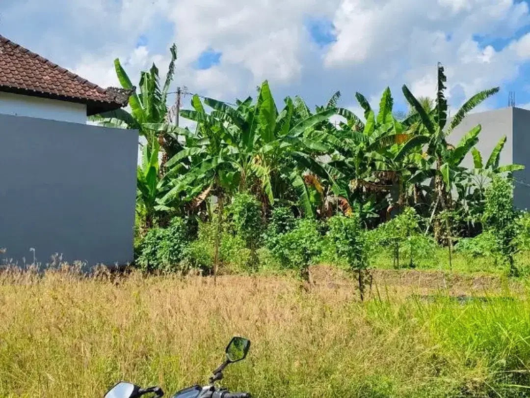 TANAH 2 ARE COCOK UNTUK RUMAH VILLA DEKAT YEH GANGGA TABANAN - Image 2 of 5