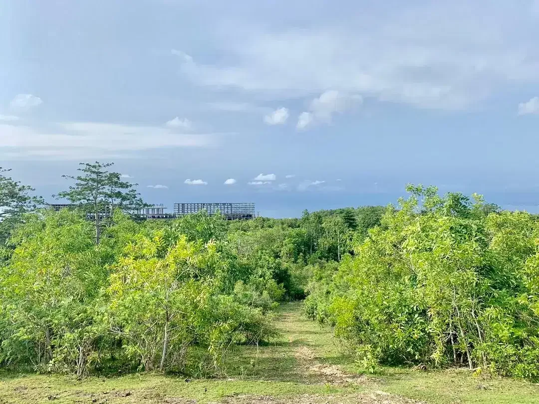 FOR SALE TANAH PREMIUM STRATEGIS AREA PECATU INDAH RESORT - Image 3 of 10