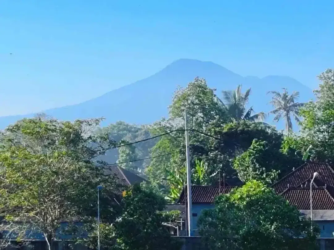 DIJUAL RUMAH SEMI VILLA DAERAH KEDIRI TABANAN BALI - Image 10 of 10
