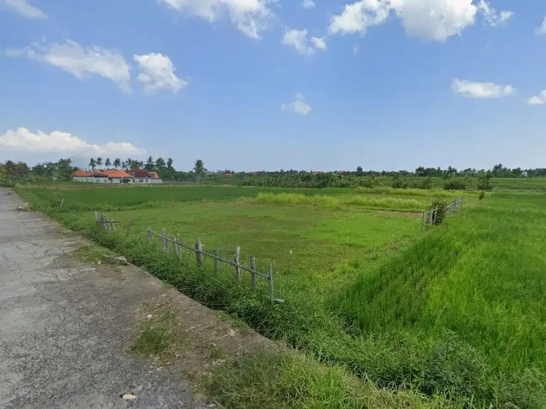 1,940 sqm Prime Freehold Land for Sale in Nyanyi – Close to Nyanyi Beach - Image 4 of 7
