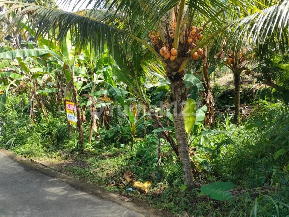 Dijual Tanah di Area Pakudui Tegalalang - Image 4 of 4