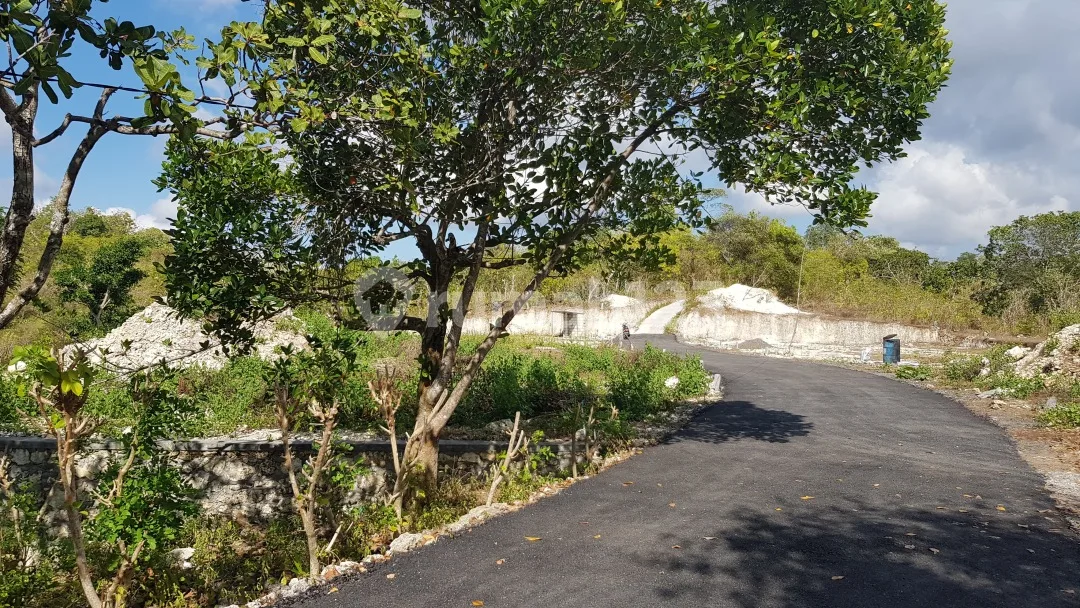 Proyek 11 Klumpu Investment Land - Image 1 of 4