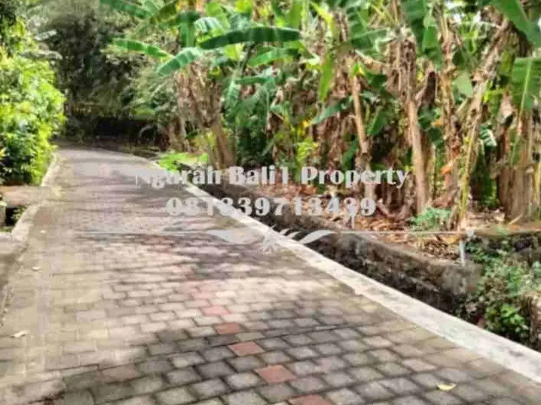 Dijual Tanah Murah Luas  8,5 Are Lokasi di Tanah Lot Tabanan - Image 2 of 6
