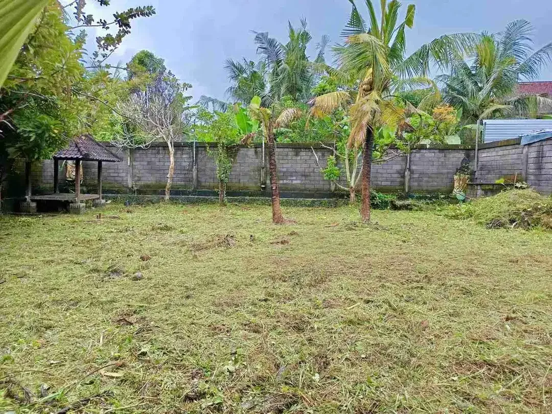 JUAL TANAH B0NUS BANGUNAN DIABIANBASE MENGWI BADUNG - Image 2 of 7