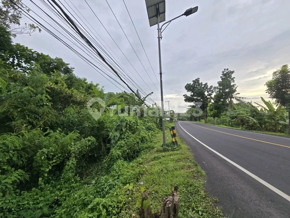 Dijua Tanah.murah View Sawah.akses Jalan Propinsi di Bali - Image 2 of 4
