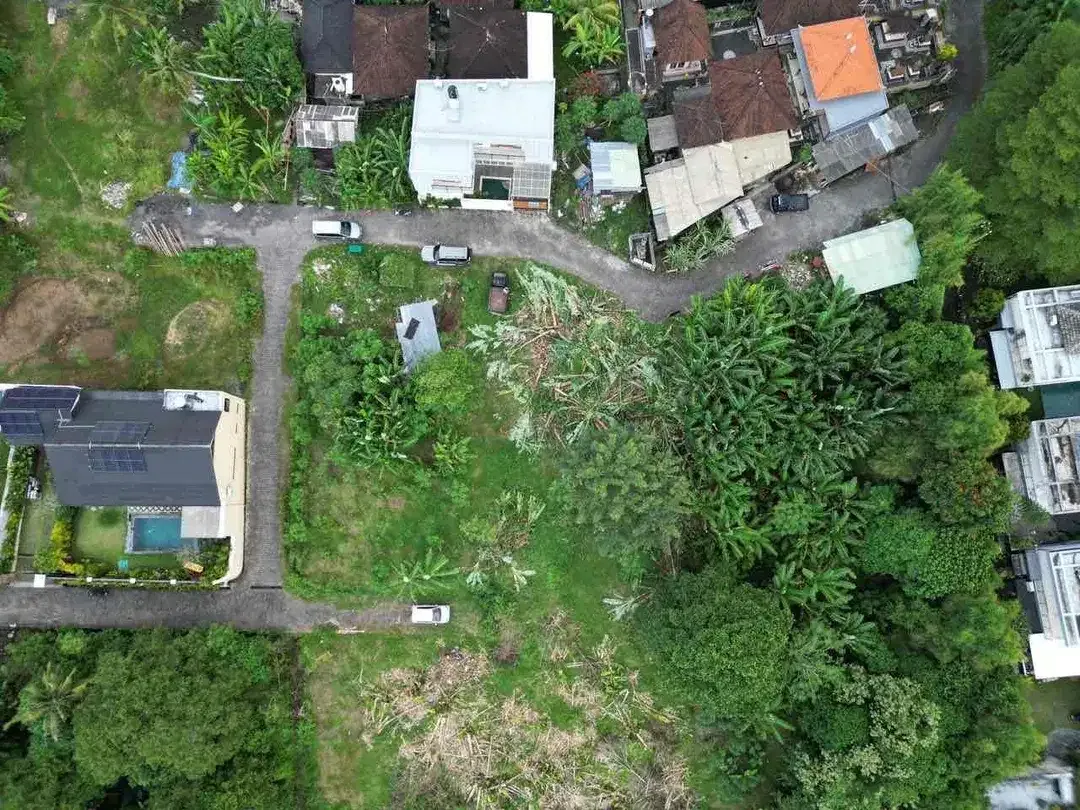 TANAH NYANYI LINGKUNGAN VILLA VIEW SAWAH SUNGAI - Image 4 of 10