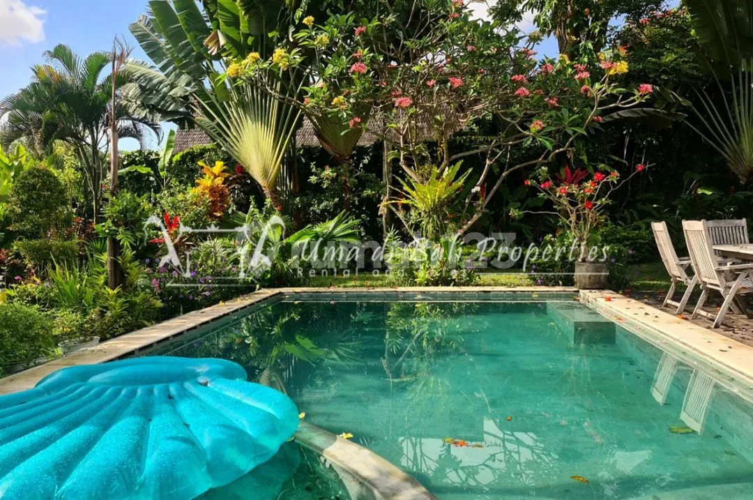 Villa Lombok Kerobokan | Lv 596 - Image 4 of 4