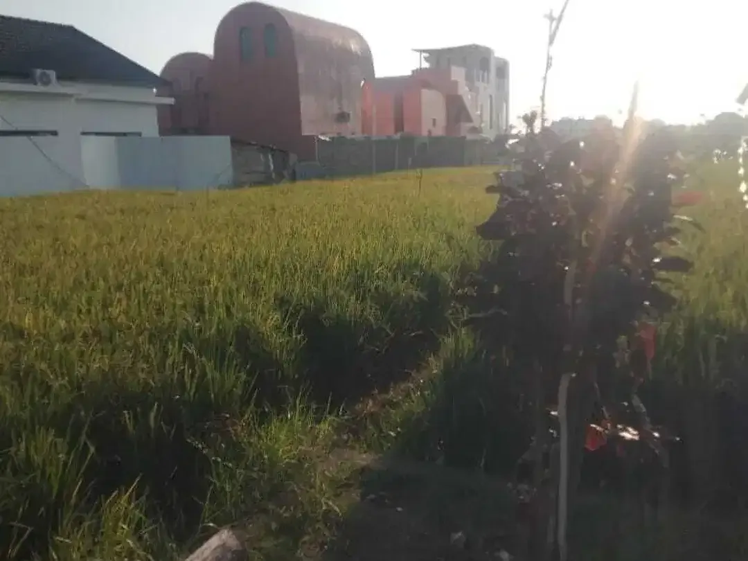 Land for sale in Seseh, Bali - Image 3 of 5