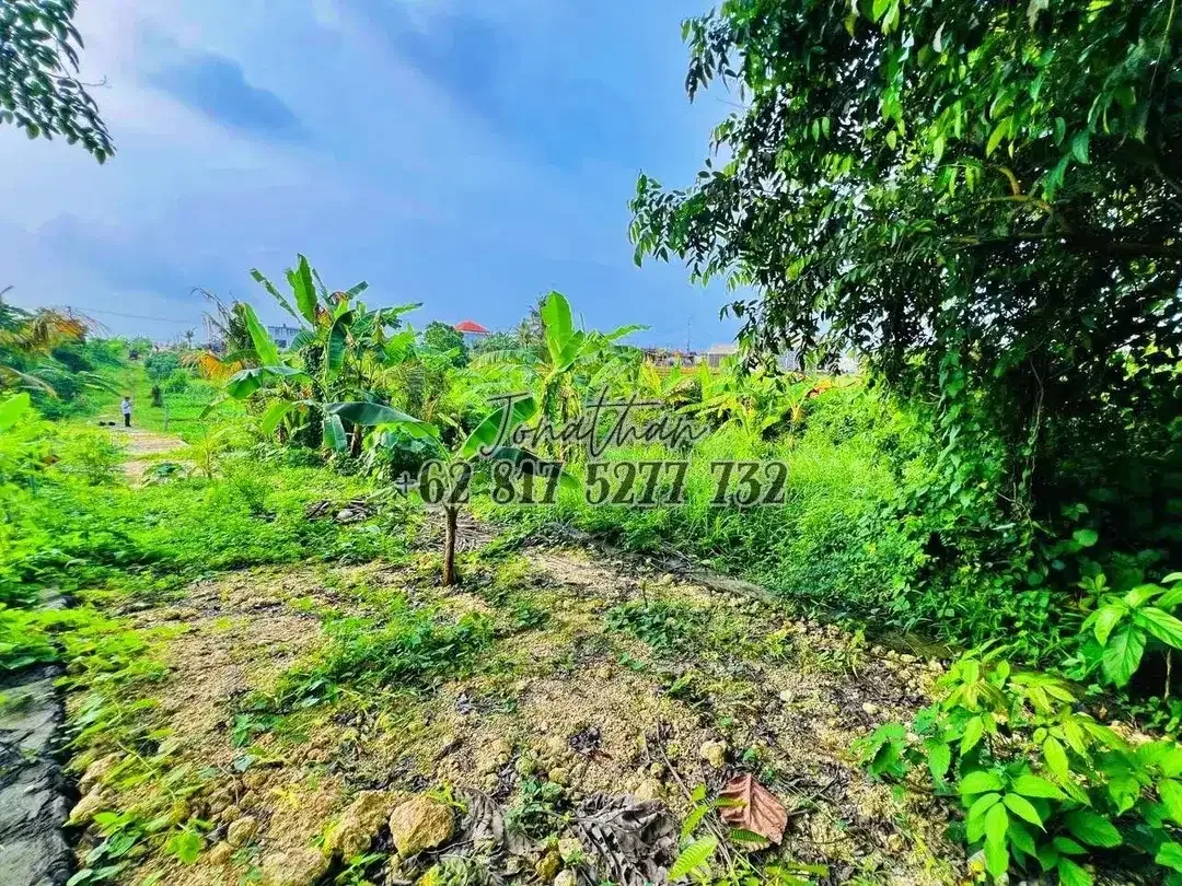 Dijual Tanah View Sawah Zona Wisata di Pantai Nyanyi Tabanan Bali - LSADT - Image 8 of 10