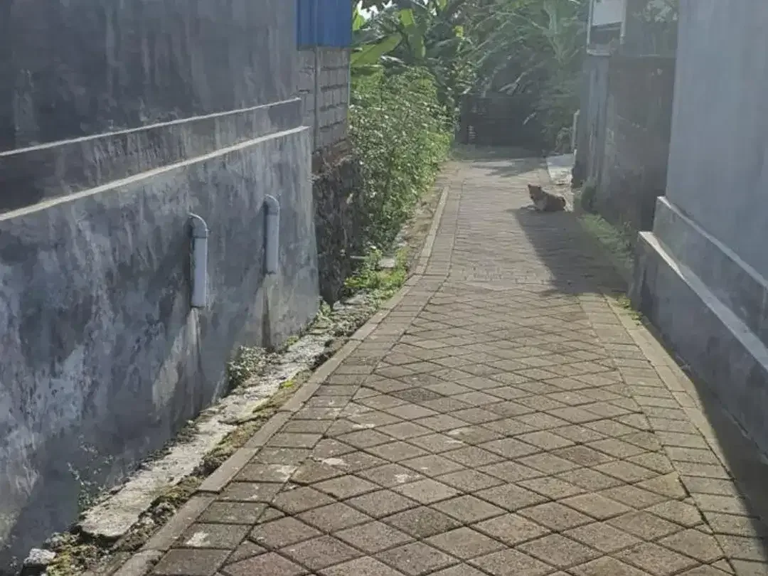 Leasehold - Rare Opportunity! 10 Are Land in prime area, Canggu, Bali - Image 3 of 8