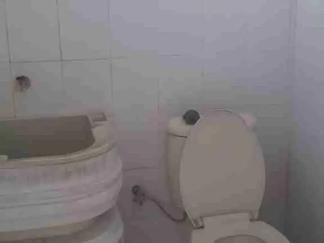 Dijual cepat rumah jimbaran - Image 3 of 9