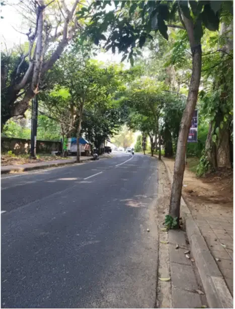 Tanah Murah 6,5 hektar jimbaran - Image 2 of 10