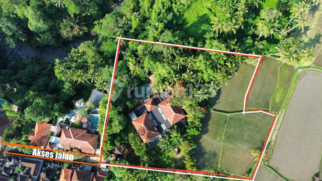 Dijual Villa Mewah Los Sungai Petanu - Ubud View Hutan & Sawah - Image 3 of 4