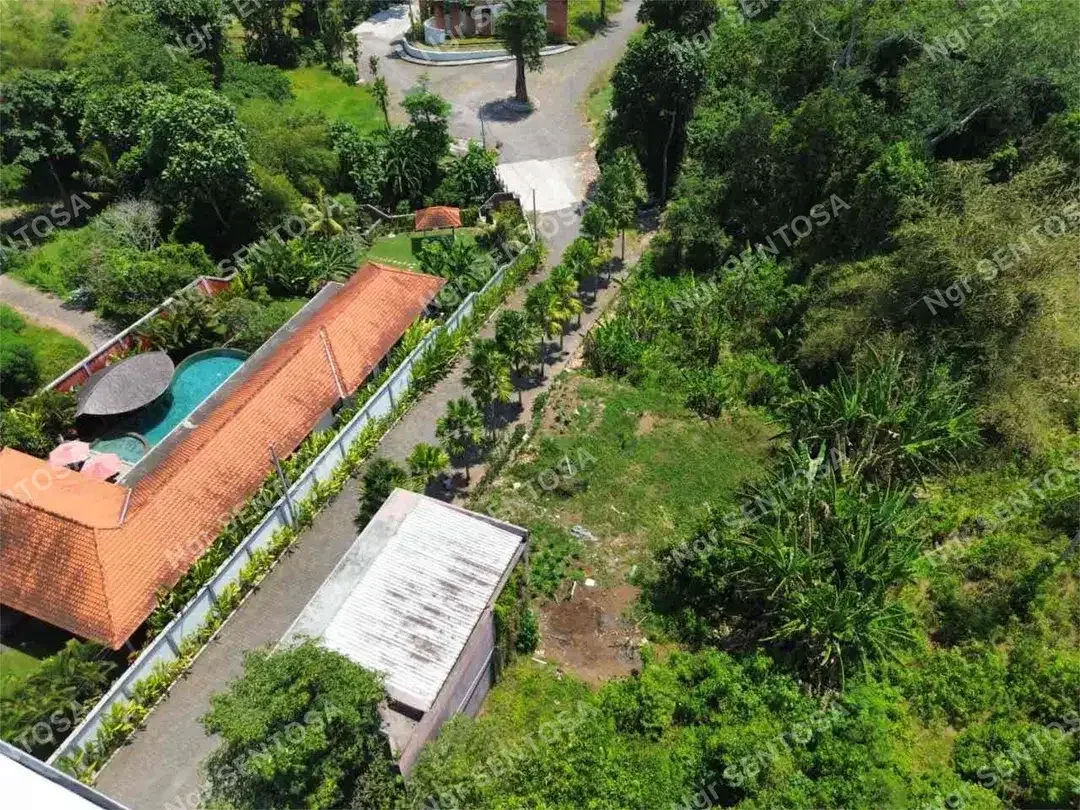 Tanah Sewa Kedungu For Lease - Image 4 of 10