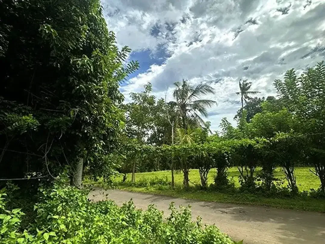 [AMS-018.DKA]  Tanah Premium Dijual Dekat Virgin Beach Bukit Asah Karangasem – Akses Langsung Pantai - Image 2 of 10