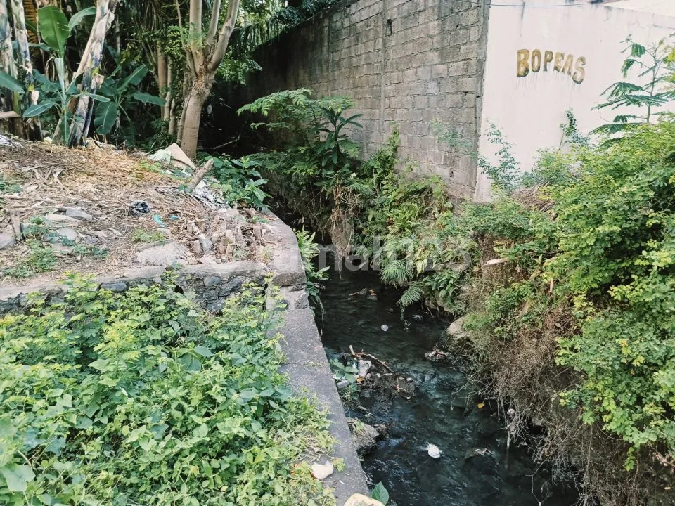 Turun Harga Rumah Nyaman Nan Asri Di Jl Tukad Musi Renon Dijual Cepat. - Image 3 of 4