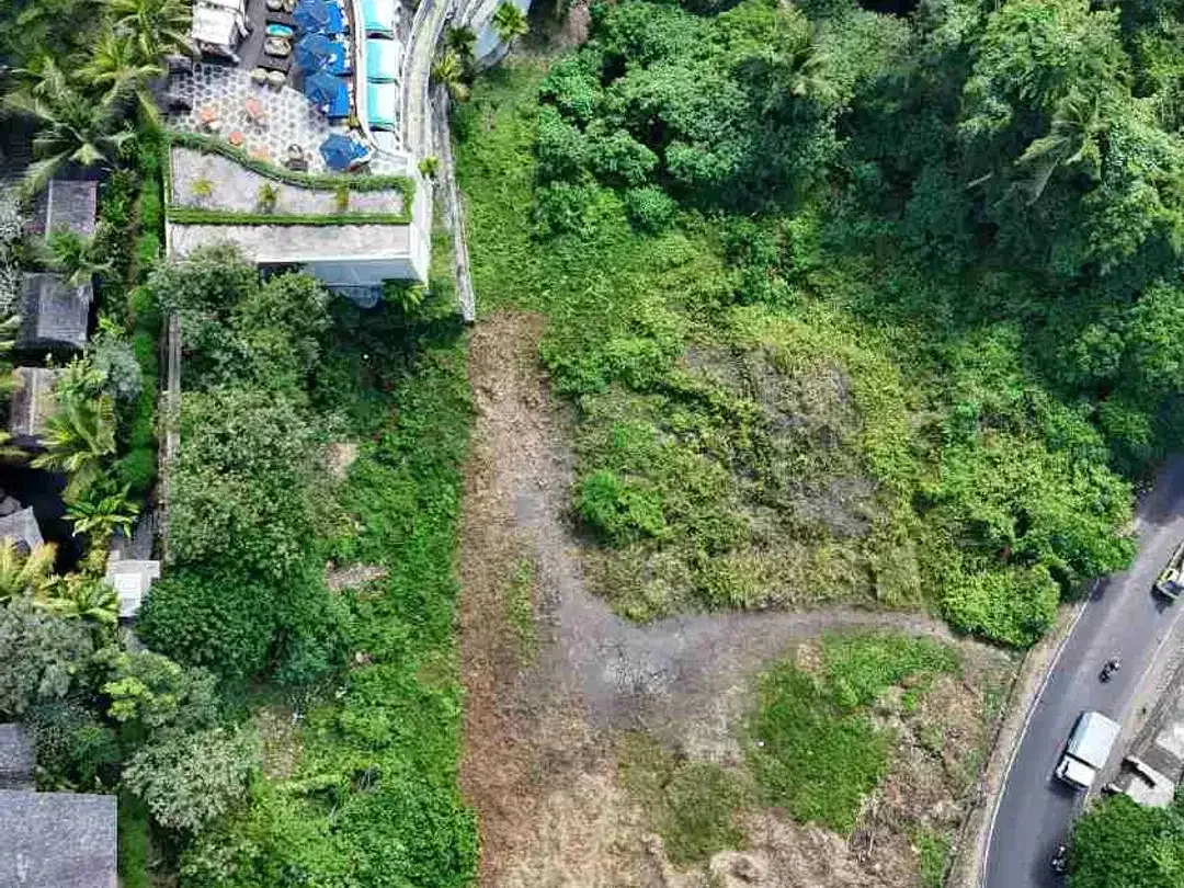DIJUAL TANAH KAVLING SINGAPADU GIANYAR BALI - Image 1 of 9