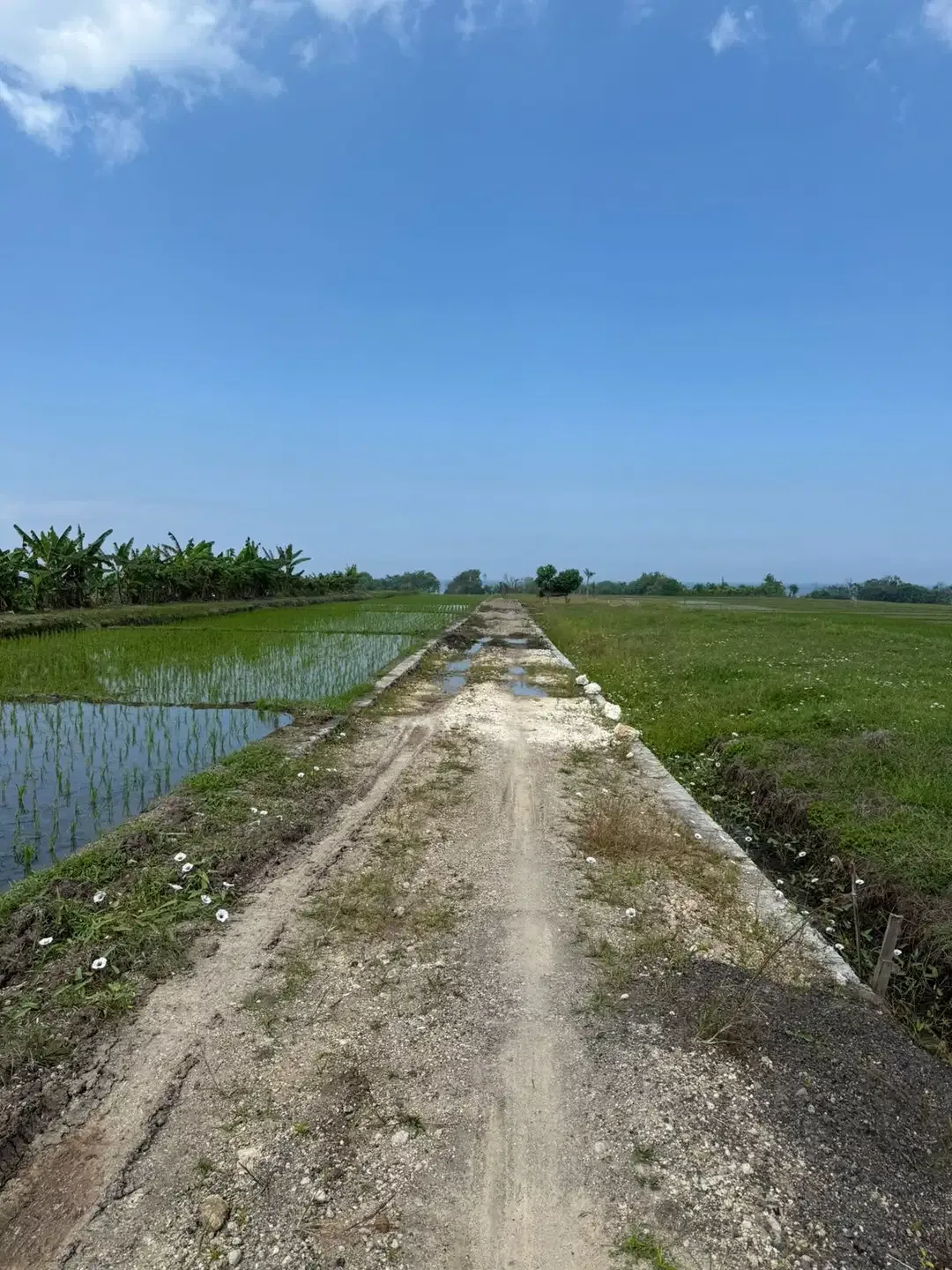 Tanah Kavling Premium Dekat Pantai Pasut Tibubiyu Kerambitan Tabanan - Image 2 of 6