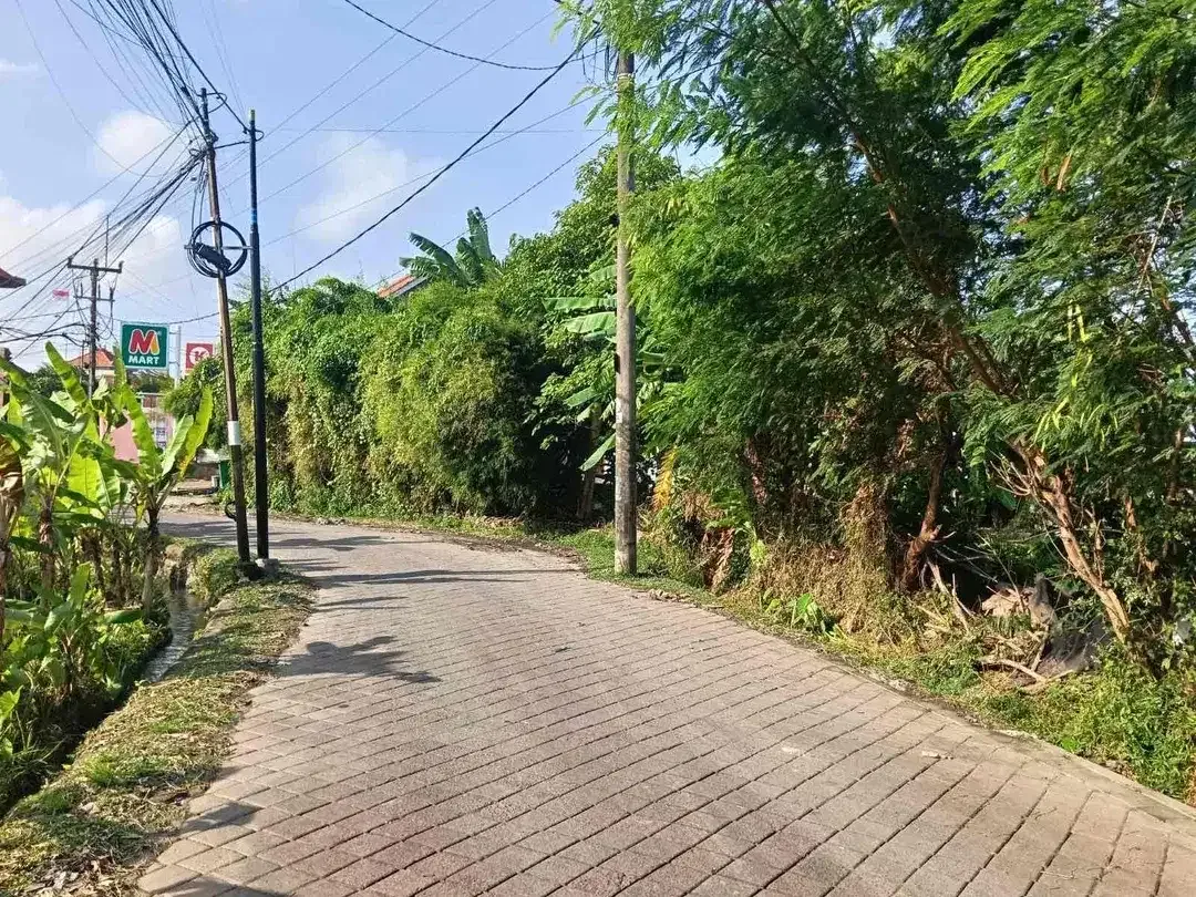 SALE Tanah 50 Are Sempol Pererenan, SHM dan Siap Bangun - Image 5 of 8
