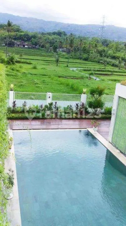 Villa Dijual Lokasi Celuk Buluh Lovina Buleleng - Image 3 of 4