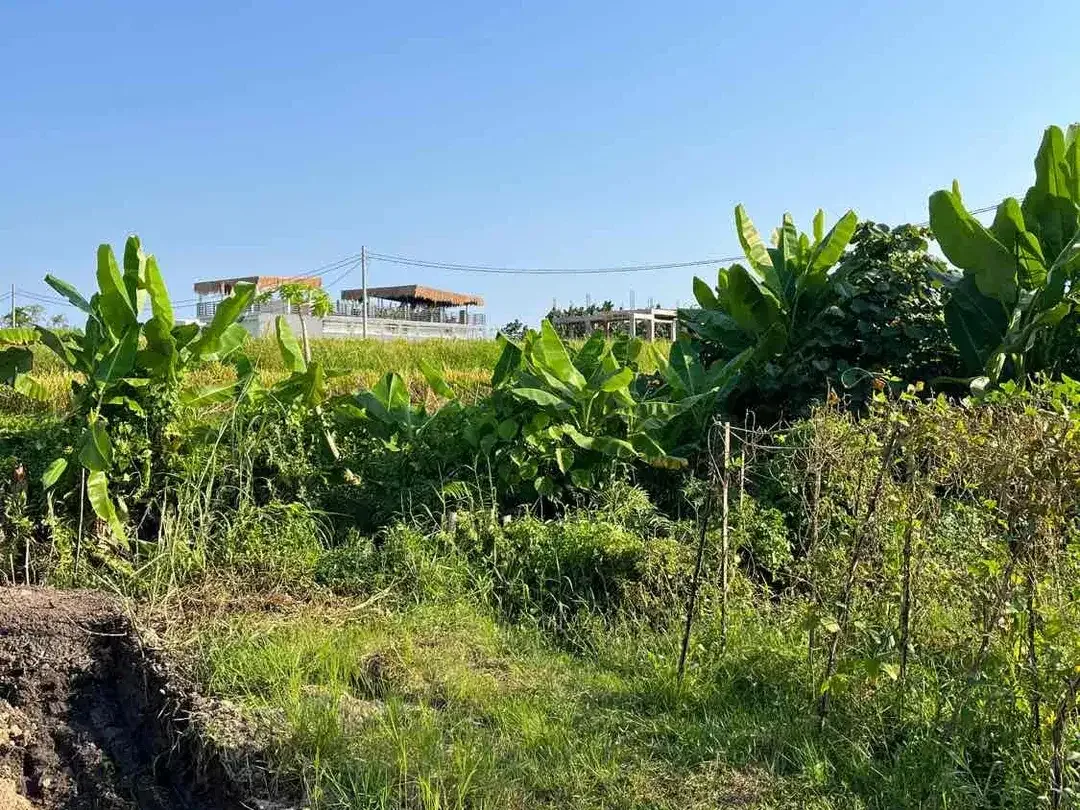 Dijual Tanah Super BUC 200 Meter Dari Pantai Kedungu - Image 5 of 7