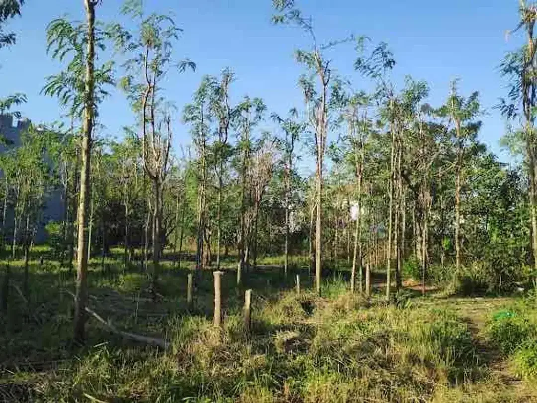 Dijual tanah kavling berlokasi di Jimbaran Bawah - Image 5 of 10