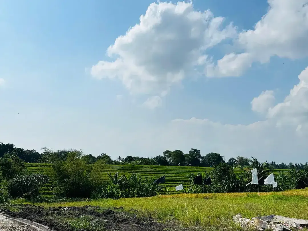 LAND FOR SALE KEDUNGU RICEFIELD VIEW SUROUND - Image 3 of 10