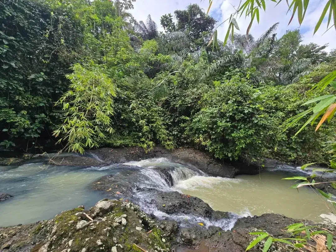 Dijual tanah view sungai dekat villa galalima glamping bali - Image 2 of 10