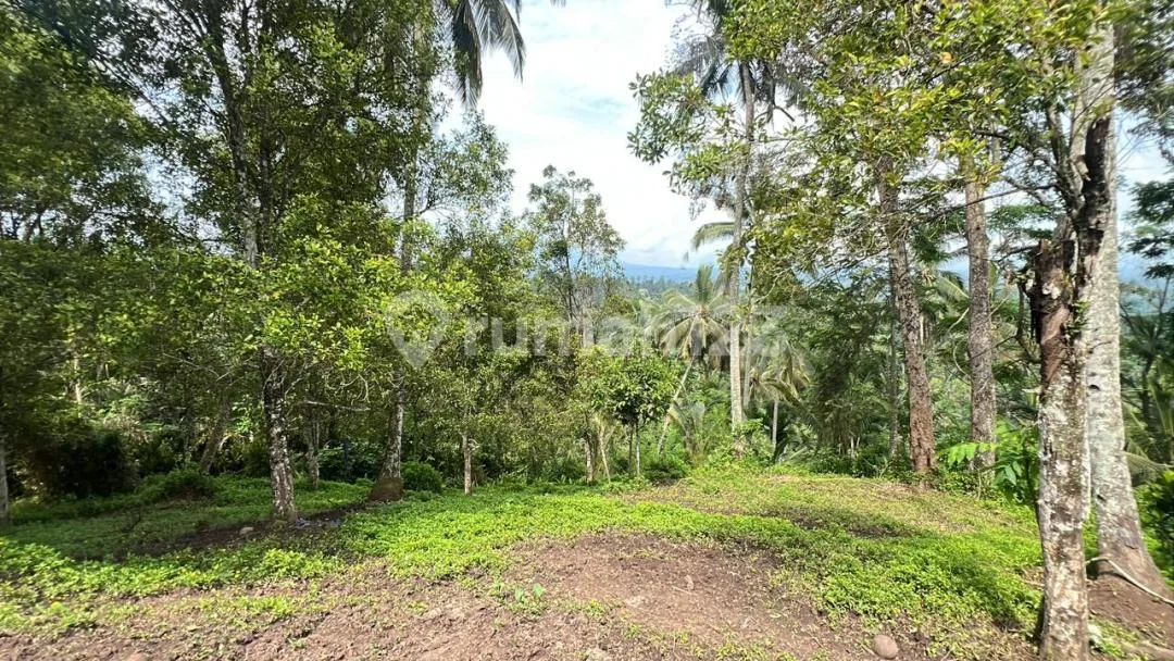 Dijual Tanah View Bali yang Indah Menyejukan Mata di Tabanan Bali - Image 4 of 4