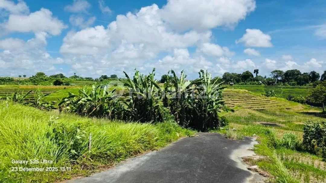 Tanah View Sawah Tumbak Bayuh #Tj0521 - Image 3 of 4