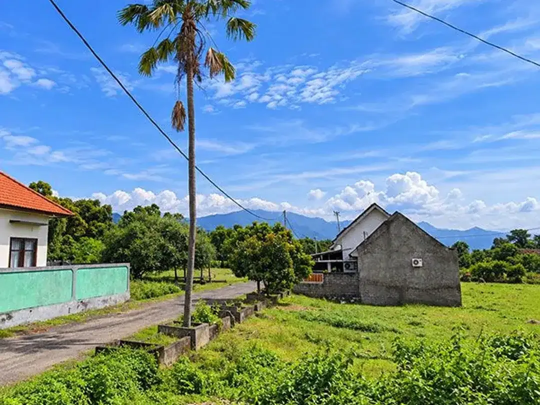 AMS-008.SH | Super Murah Dijual Tanah Kavling Perumahan di Celukan Bawang – Gerokgak, Singaraja - Image 8 of 10