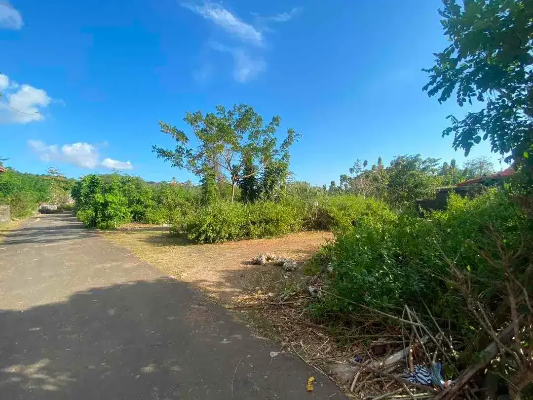 Tanah MURAH Cocok untuk Villa Jl Lalang Ambu Jimbaran - Image 2 of 10