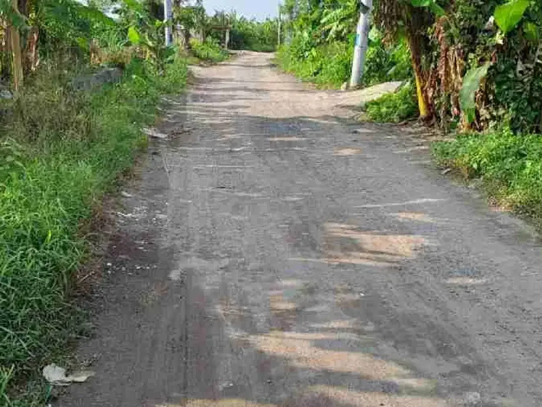 tanah kontrak termurah dekat pantai seseh Pererenan - Image 4 of 7
