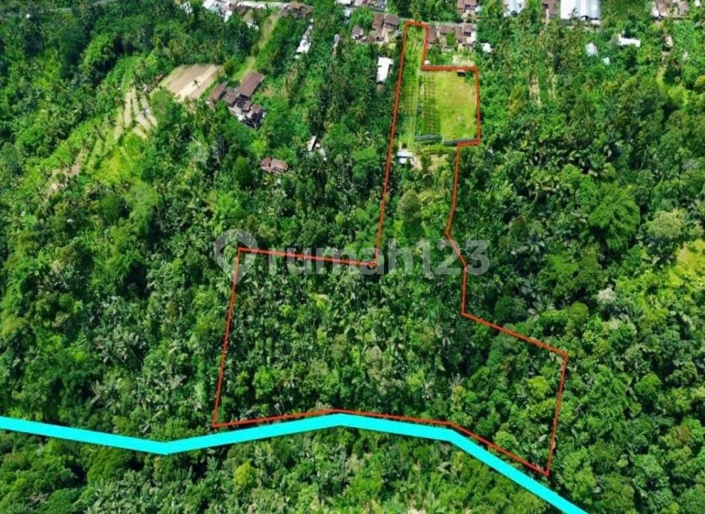 Dijual Tanah Gianyar - Image 3 of 4