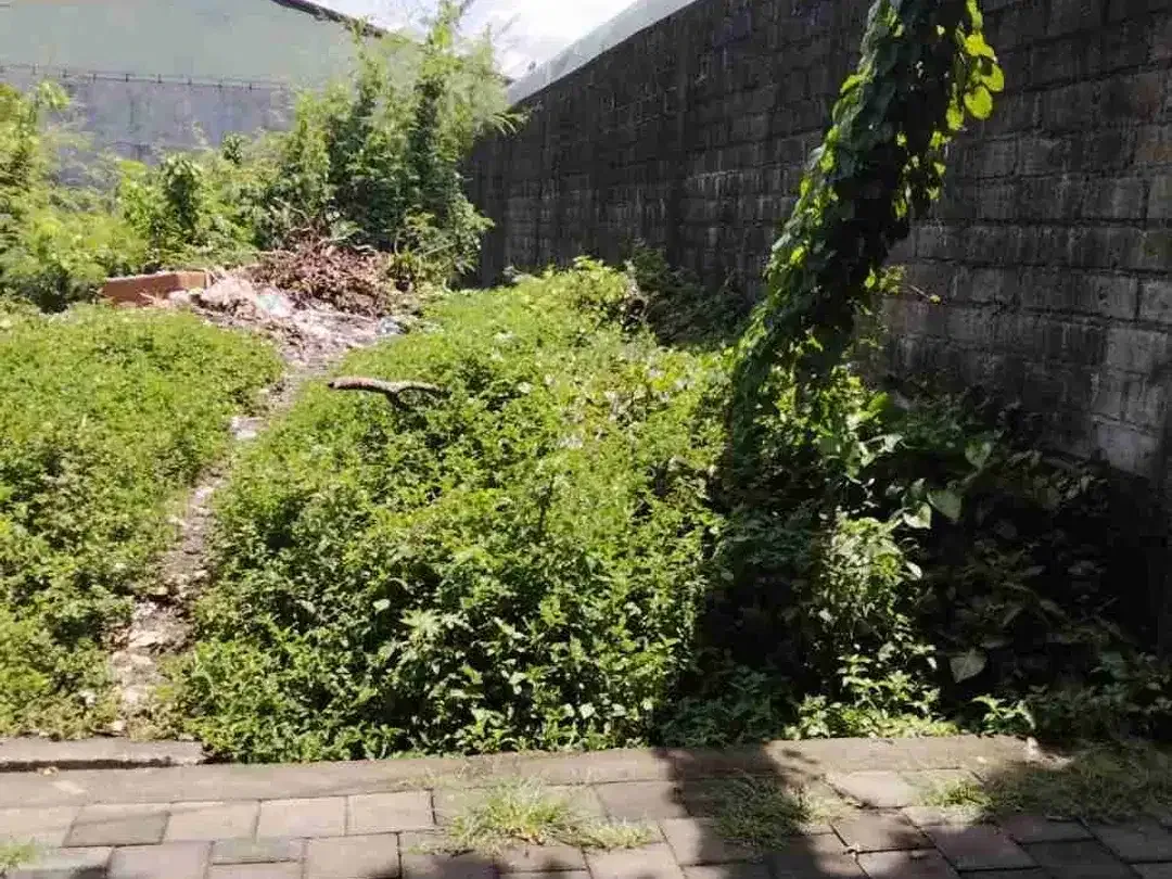 Tanah Ideal untuk Hunian atau Investasi di Panjer Denpasar - Image 3 of 5