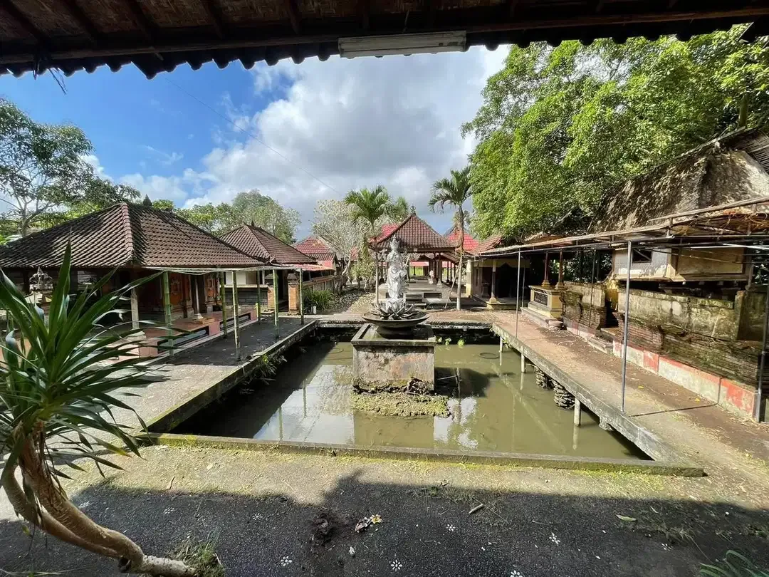 Tanah Bonus Bangunan Mas Lokasi Ubud - Image 2 of 10