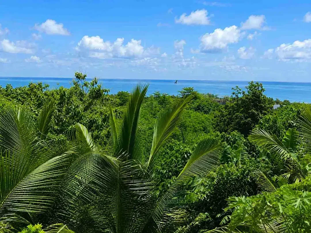 DIJUAL VILLA BARU OCEAN VIEW TROPICAL MODERN STYLE - Ungasan Bali - Image 9 of 9