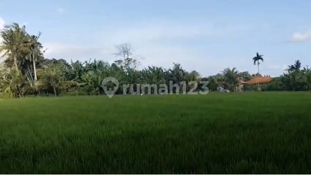 Komplek Villa Buruan Gianyar Bali - Image 3 of 4
